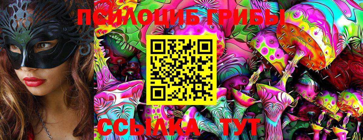 Псилоцибиновые грибы Cubensis  Вход с VPN  Северобайкальск  Галлюциногенные грибы Magic Shrooms 